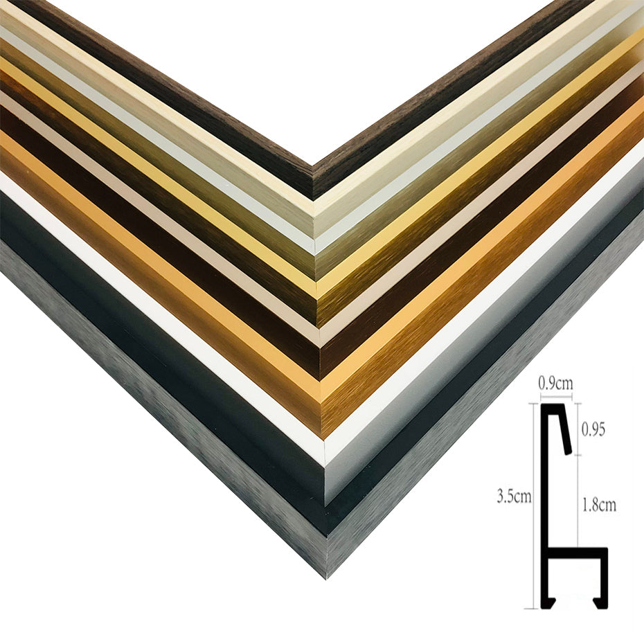 Metal Picture Frame 8 Colors Brushed Black Frosted White Brushed Gold Titanium Silver With Wood Inner Frame Size 20x30cm to 60x90cm