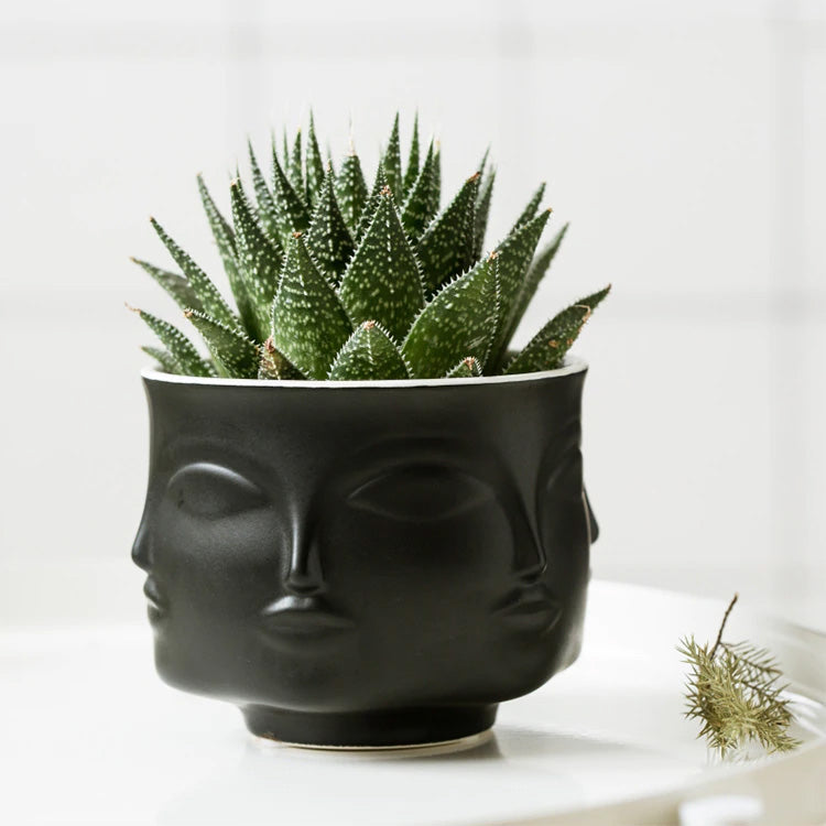 Modern Abstract Art Vase Face Pots Ceramic Flower Pot For Creative Floral Arrangements For Living Room Table Dining Room Windowsill Nordic Home Decor