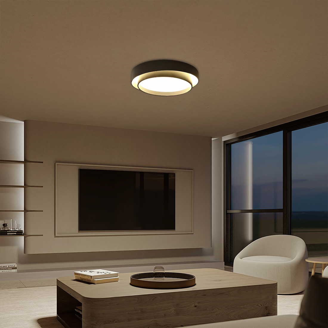 Flint Acrylic Disc Ceiling Lamp-2.png__PID:de84f44f-3af4-4ef3-8e59-8f9da26ca2a2