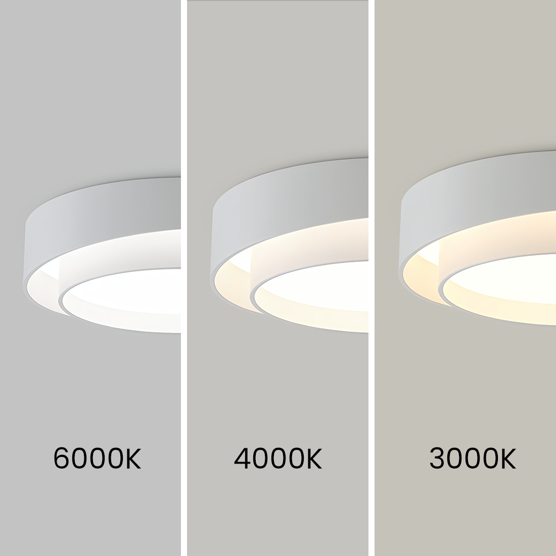 Flint Acrylic Disc Ceiling Lamp-D5.png__PID:f4eef34e-598f-4da2-aca2-a2ed065e24da