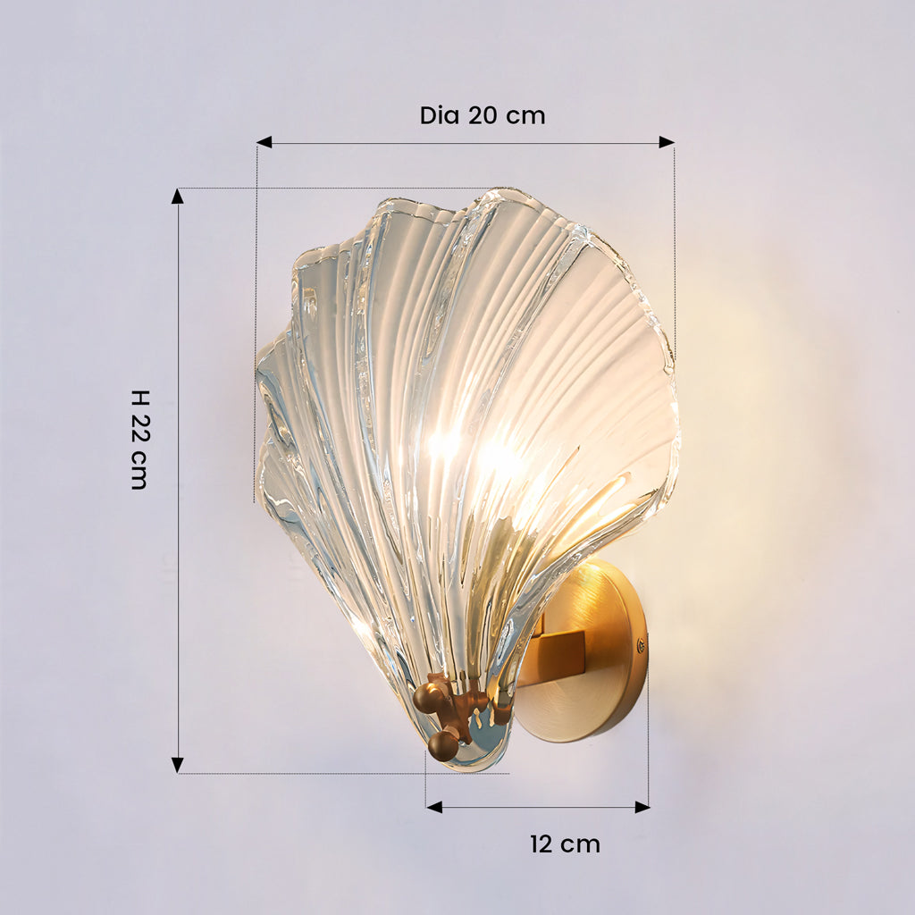 Luis shell wall light size.jpg__PID:f73fa5c2-1279-44c0-b2d3-5931c599de3a